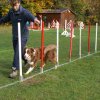 agility 2011-10-30